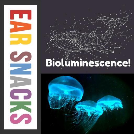 Bioluminescence! (Winter Break remix)