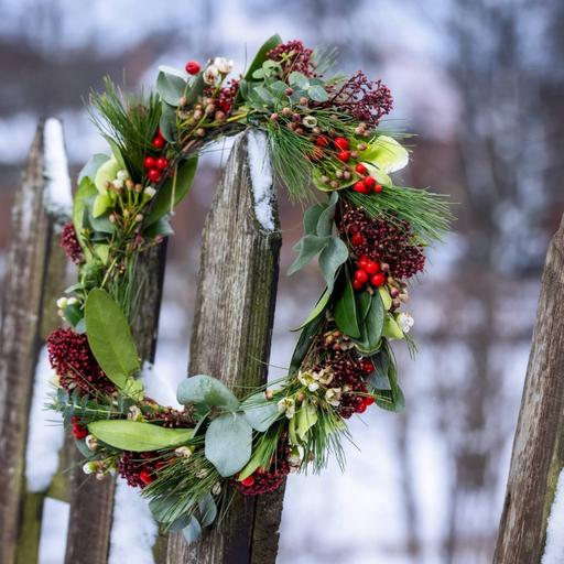 Säsongsstart: Vinter i P1