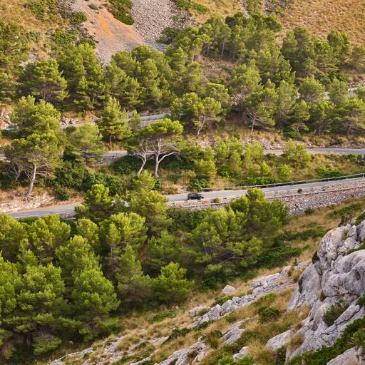 Caminantes - Serra de Tramuntana con Tròfol Castanyer - 28/12/24