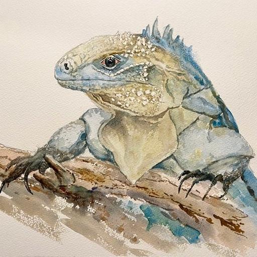 Ep. 70 - Saving the Blue Iguana