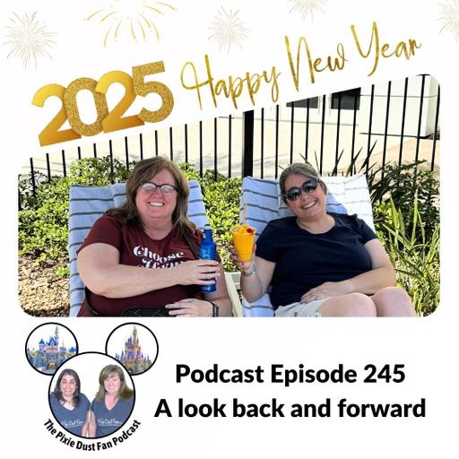 Podcast 245 - The year of travel - a look back and forward