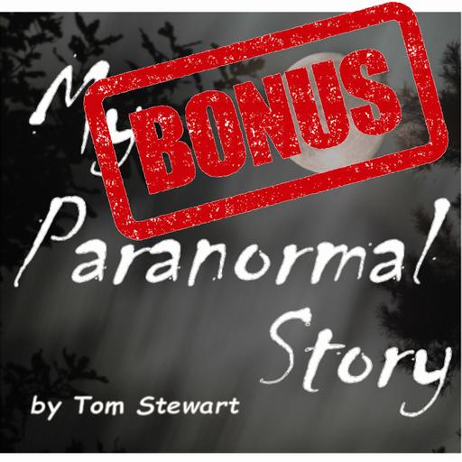 Top 5 Paranormal News Stories of 2024