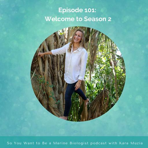 Episode 101: Life pivots, what's good, and what's next