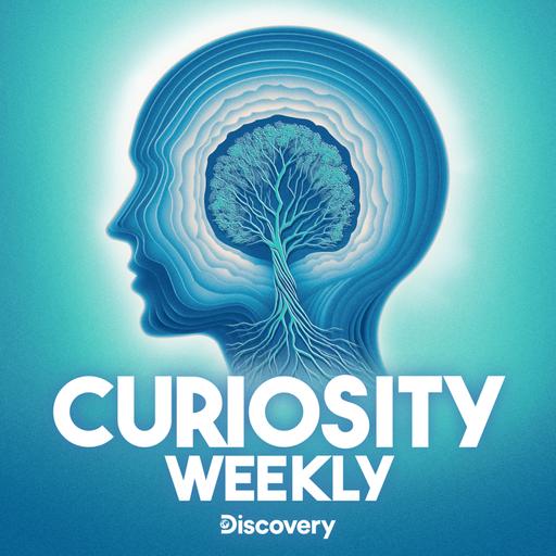 Introducing: Curiosity Weekly