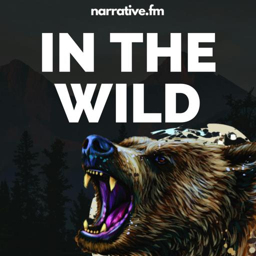Brothers in the Wild: Justin and Jeremy Harris' Survival Story
