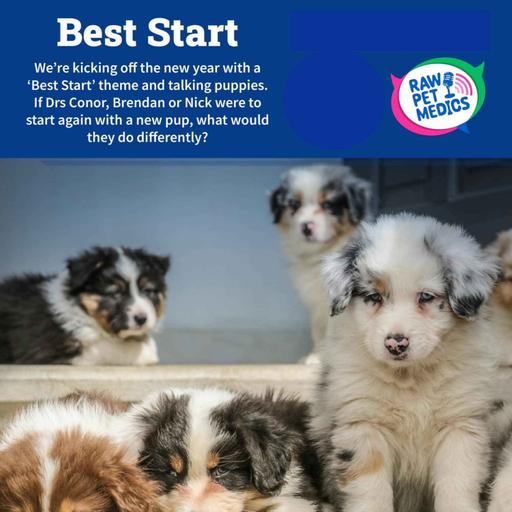 Best Start
