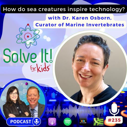 How Do Sea Creatures Inspire Technology?