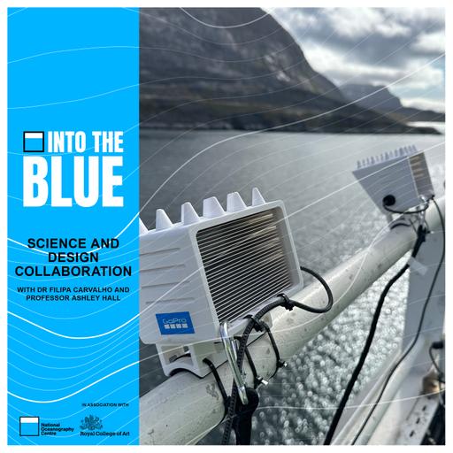 How Can Scientists and Designers Collaborate to Protect Our Oceans? | Into the Blue Podcast & RCA Podcast