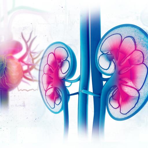 Chronic kidney disease (CKD): an essential guide for GPs