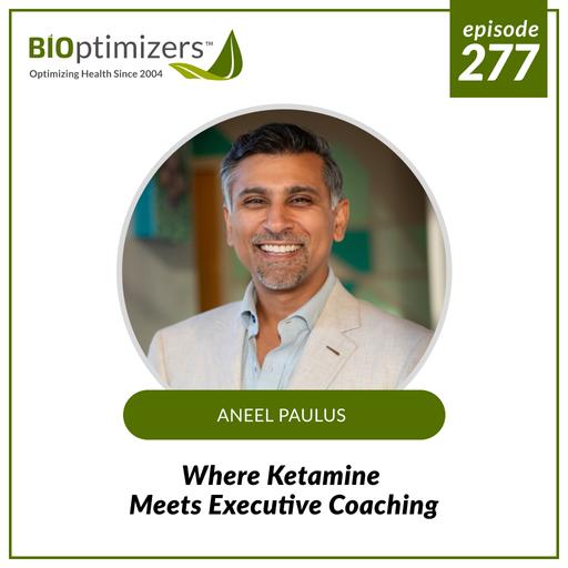 277: Where Ketamine Meets Executive Coaching - with Aneel Paulus