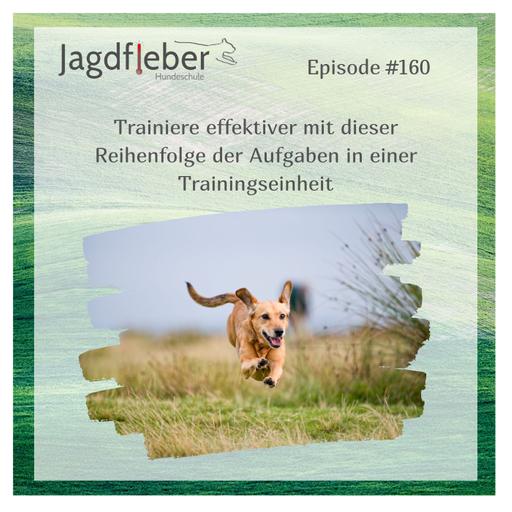 P160: Trainiere effektiver mit dieser Reihenfolge der Aufgaben in einer Trainingseinheit