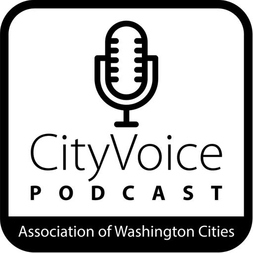 CityVoice - S07E02: Exploring the condition of Washington cities - Part 2 with Carl Schroeder