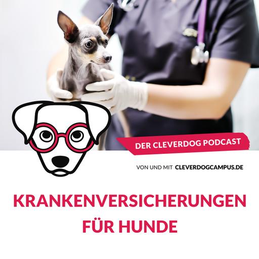 Hundekrankenversicherungen – mit Fabian Bauer