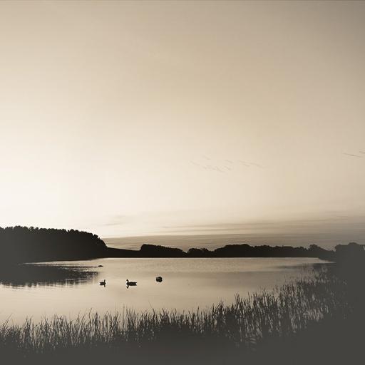 It Is What You Are, Not What You Look Like: Ajahn Chah Memorial