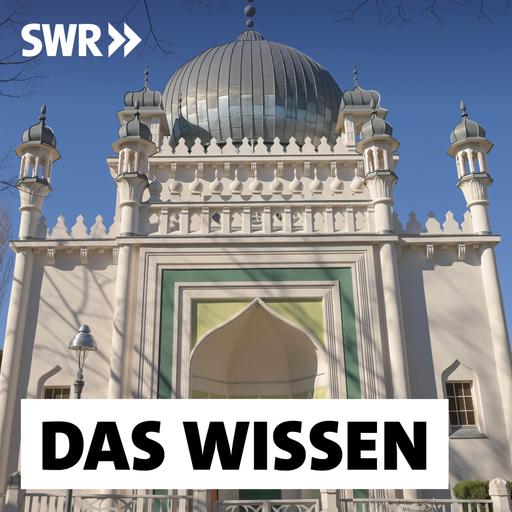 Wie sich Moscheen finanzieren – Privatspenden, Auslandsgelder, Influencer