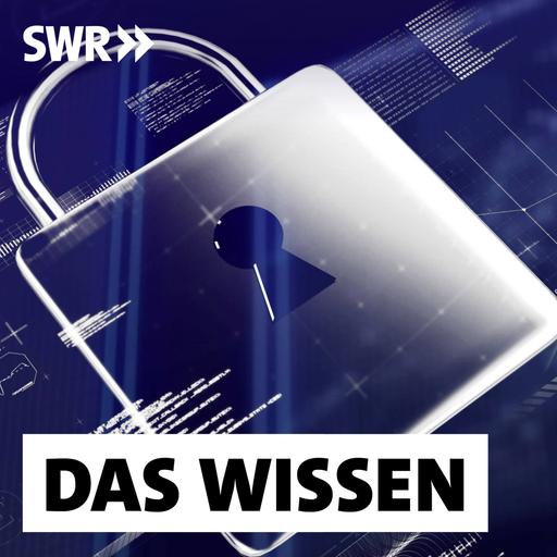 Cyber-Bedrohungen – Wie sicher sind Cloud-Anwendungen?