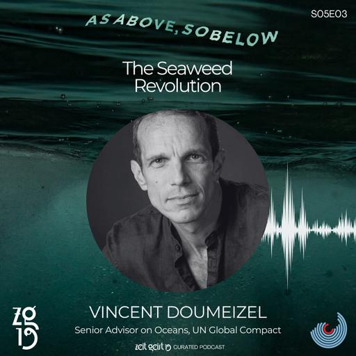 Vincent Doumeizel. The Seaweed Revolution