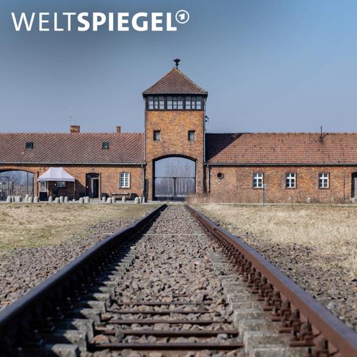 Gedenken an Auschwitz: Mit TikTok gegen das Vergessen