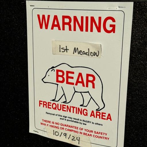 Yellowstone National Park: Celebrity bears, and a tale of two trout