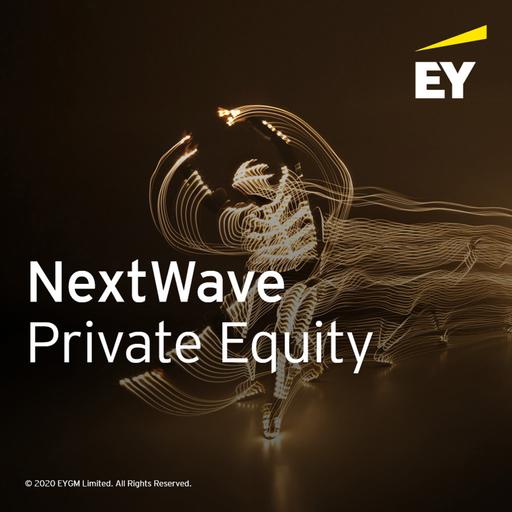 PE Pulse: key takeaways from Q4 2024
