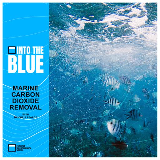 Marine Carbon Dioxide Removal: The Newest Climate Mitigation Technique | Into the Blue Podcast
