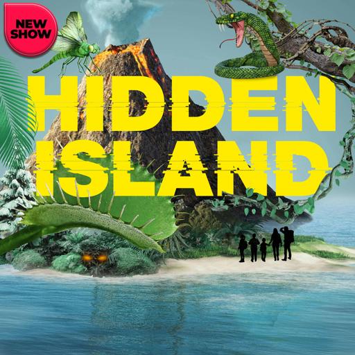 Introducing: Hidden Island