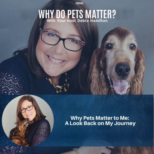 Why Pets Matter to Me: A Look Back on My Journey