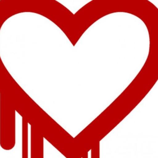 038 Heartbleed die OpenSSL Sicherheitslücke