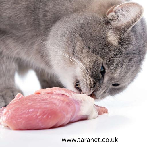 Love These Reasons To Change Your Cat's Diet Away From Processed Food