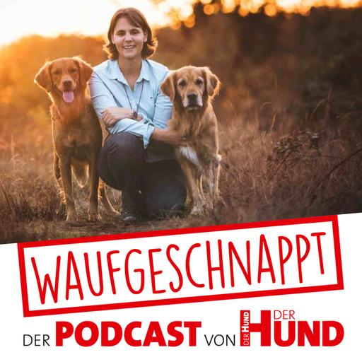 Rudelliebe - Annika Nowatzek