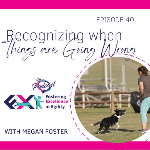Recognizing When Things are Going Wrong