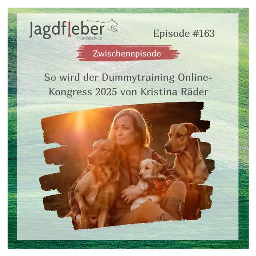 P163: So wird der Dummytraining Online-Kongress 2025 von Kristina Räder