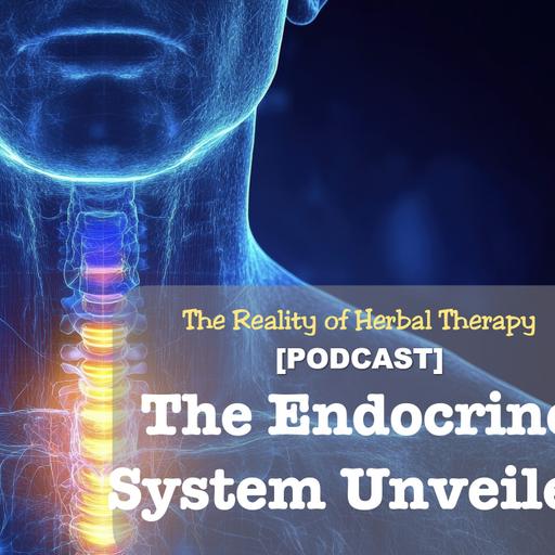 The Endocrine System Unveiled: Glands, Hormones, and Health