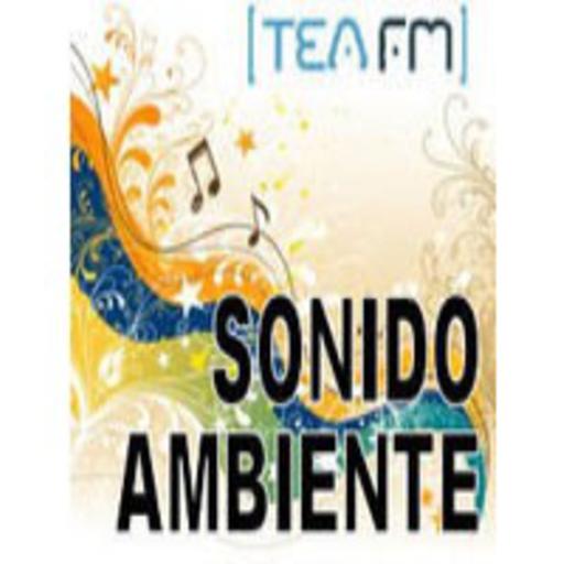 Ambientes Sonoros-Benasque. Río Ésera desbordado 18 de Junio de 2013
