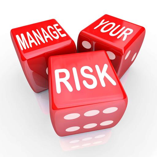 MRM Episode 102 - Risk Outlook 2025