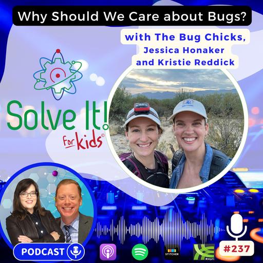 Why Should We Care About Bugs?