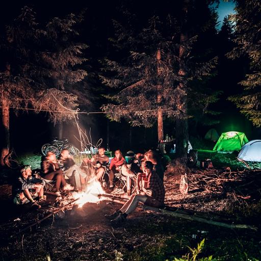 The Crucial Differences Between Community and Friendship, Explained. (Audio)