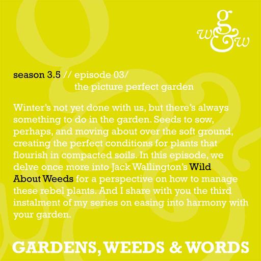 S03.5 Episode 3: the picture perfect garden