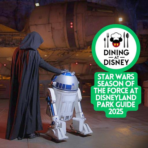 Star Wars Season of the Force at Disneyland Park Guide 2025