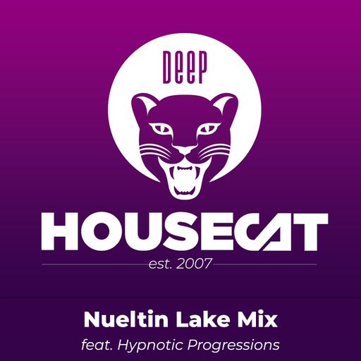 Nueltin Lake Mix - feat. Hypnotic Progressions