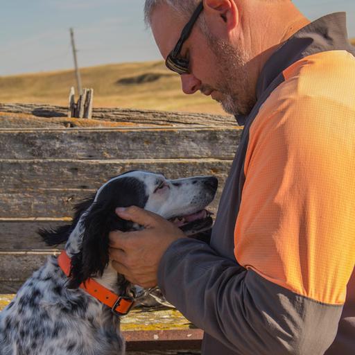 How to Hunt Sharptails and Huns