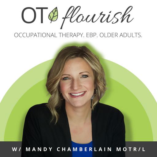 FIELDWORK INSIGHTS: OT Secrets to Success w/ Erin Jeffords OTD, MS, OTR/L