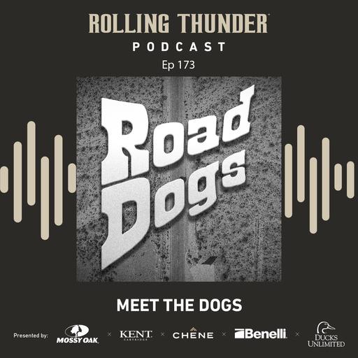 Ep 173 - Meet The Dogs