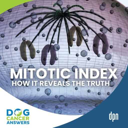 Aggressive Dog Tumor? How Mitotic Index Reveals the Hidden Truth | Dr. Brooke Britton | Dr. Brooke Britton #274