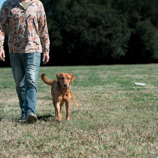 The patron saint of hunting with dogs