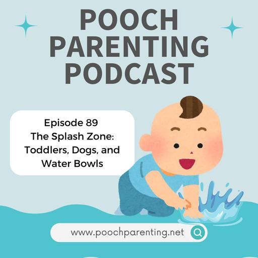 89. The Splash Zone: Toddlers, Dogs, and Water Bowls
