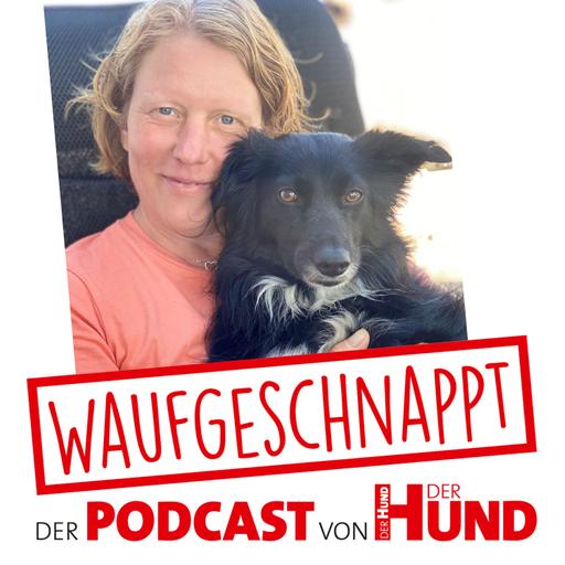 So geht Tiersuche - Mandy van den Borg