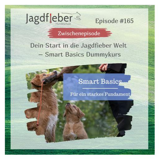 P165: Dein Start in die Jagdfieber Welt – Smart Basics Dummykurs