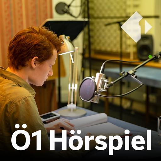 Kunst zum Hören: Kunst. Radio. Braunau. von Josef KLammer und Rudi Widerhofer