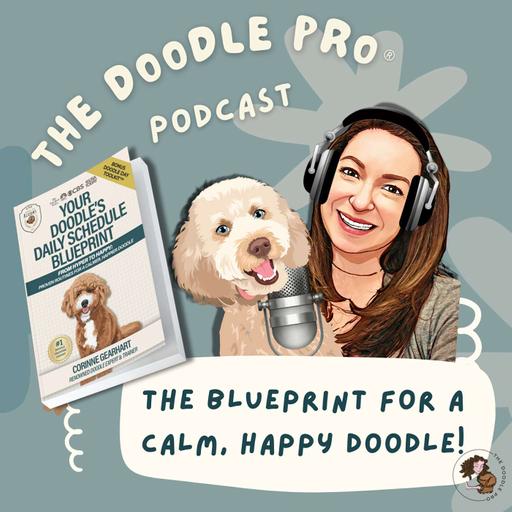 61: Your Doodle’s Daily Routine—Why It Matters & How to Get It Right